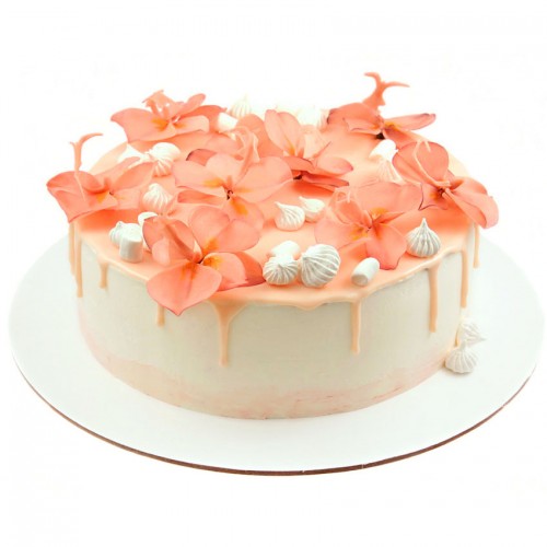 Розовый торт без мастики с цветами орхидеями