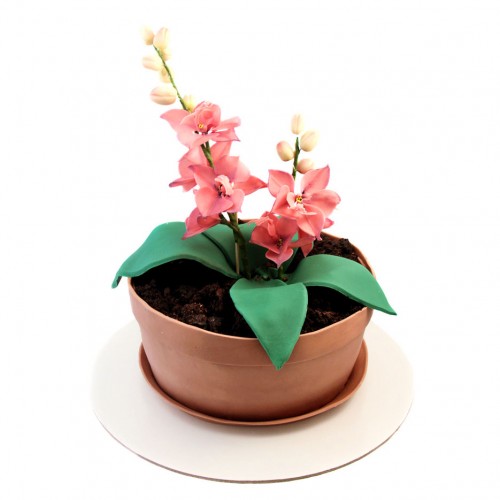 Торт в форме цветка Орхидеи